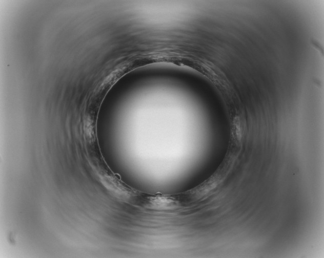 X0000100230380200805301417
