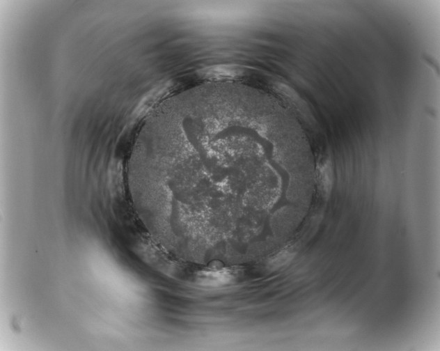 X0000100230381200805301417