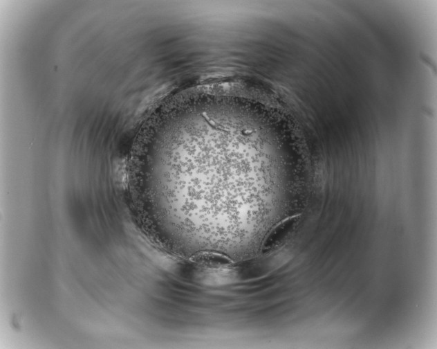 X0000100230383200805301417