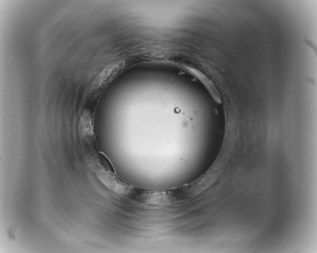 X0000100230384200805301417