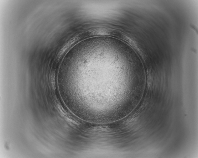 X0000100230386200805301417