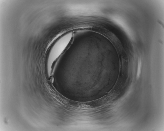 X0000100230387200805301417
