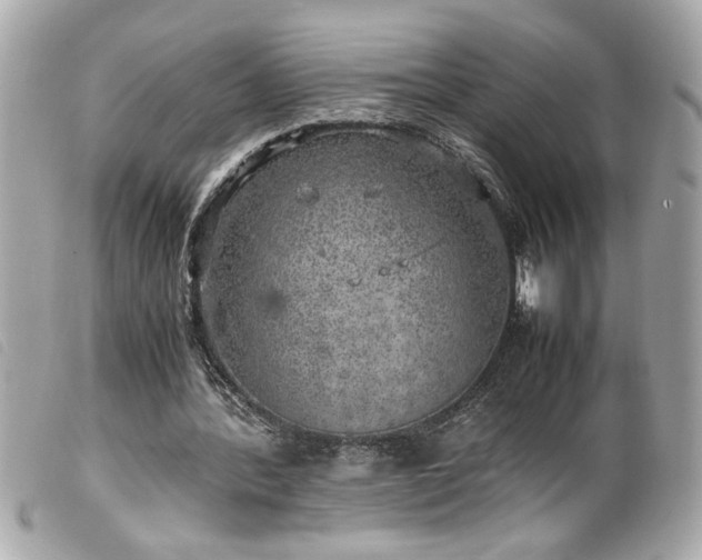 X0000100230388200805301417