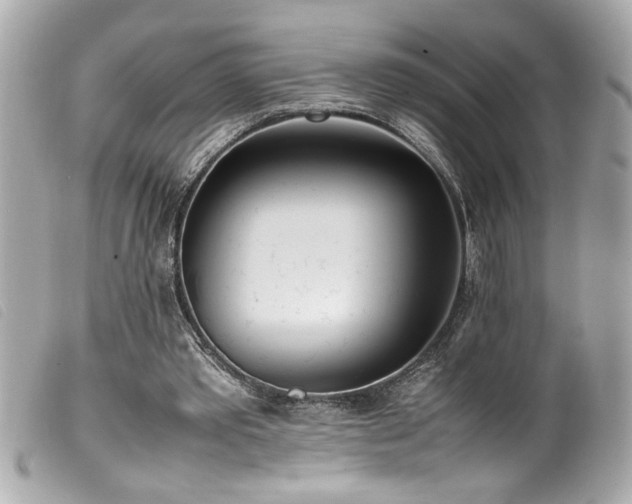 X0000100230389200805301417