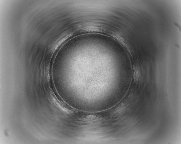 X0000100230390200805301417