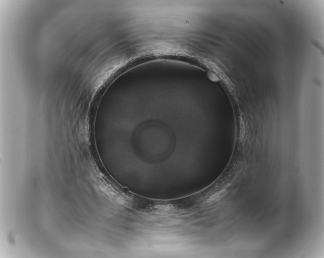X0000100230391200805301417