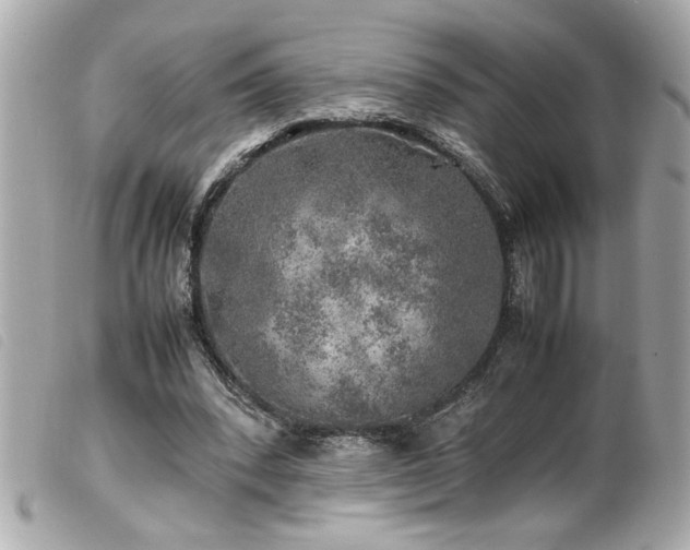 X0000100230392200805301417