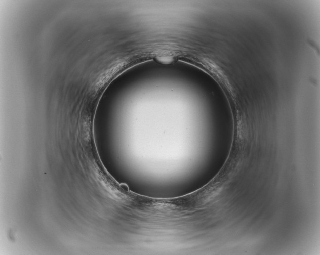 X0000100230393200805301417