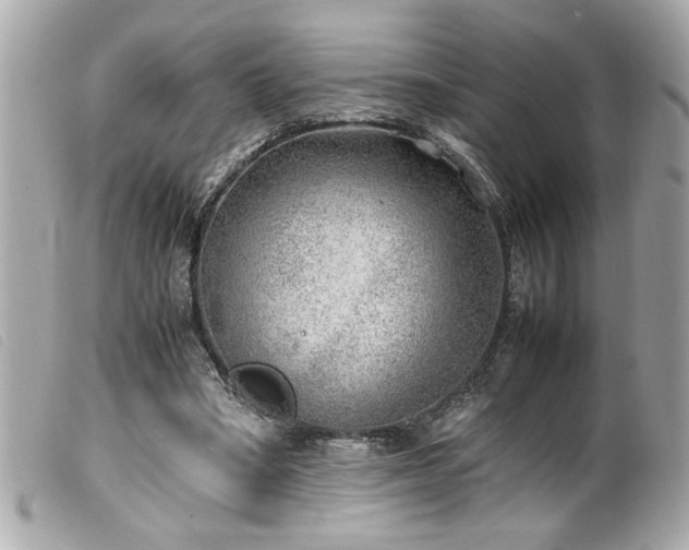 X0000100230394200805301417