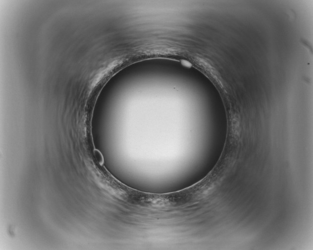 X0000100230395200805301417