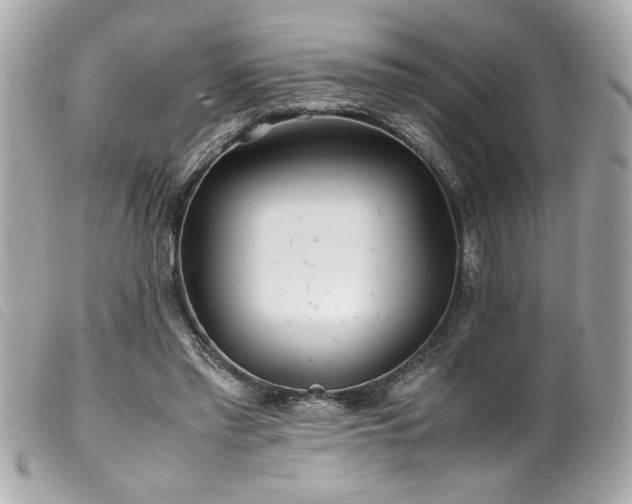 X0000100230397200805301417