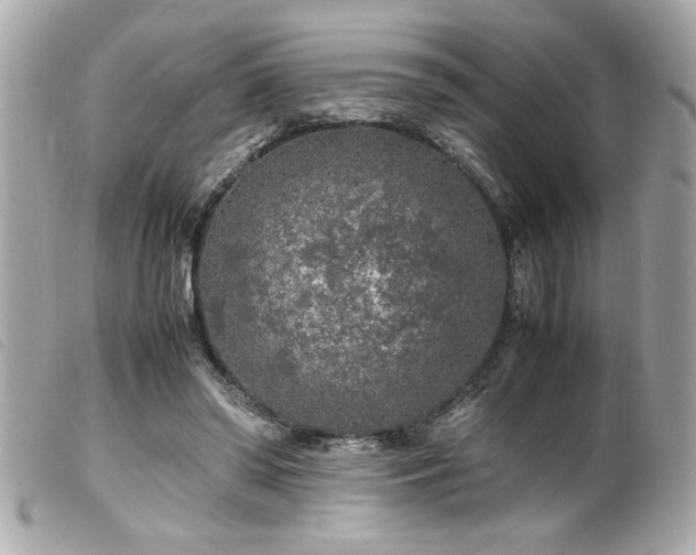 X0000100230398200805301417