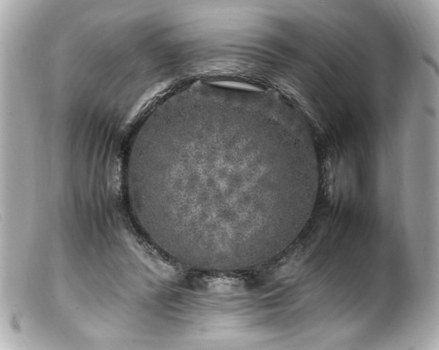 X0000100230400200805301417