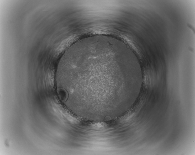 X0000100230402200805301417