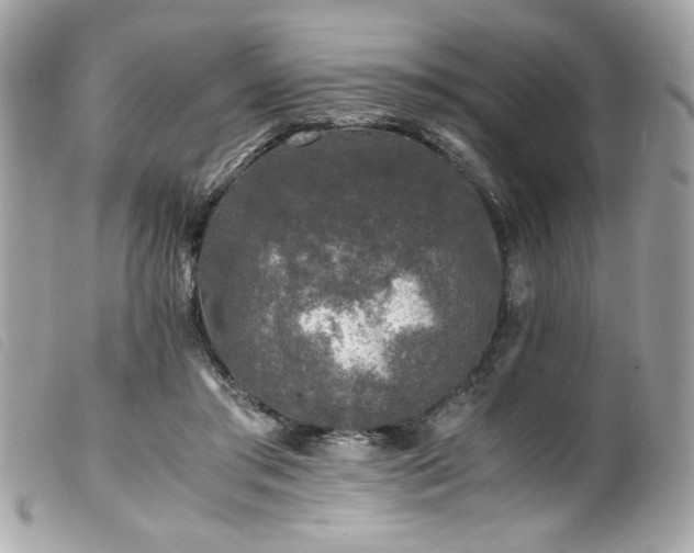 X0000100230405200805301417