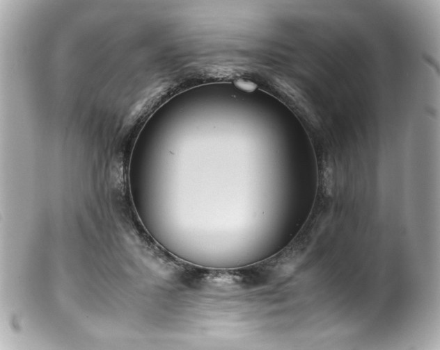 X0000100230407200805301417