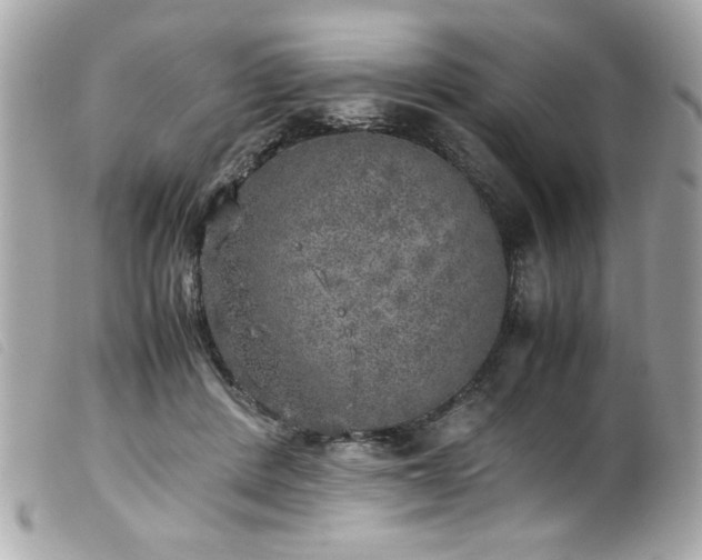 X0000100230408200805301417