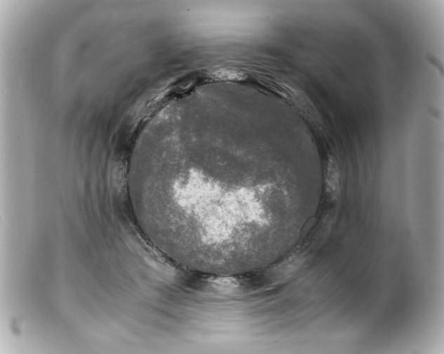 X0000100230409200805301417
