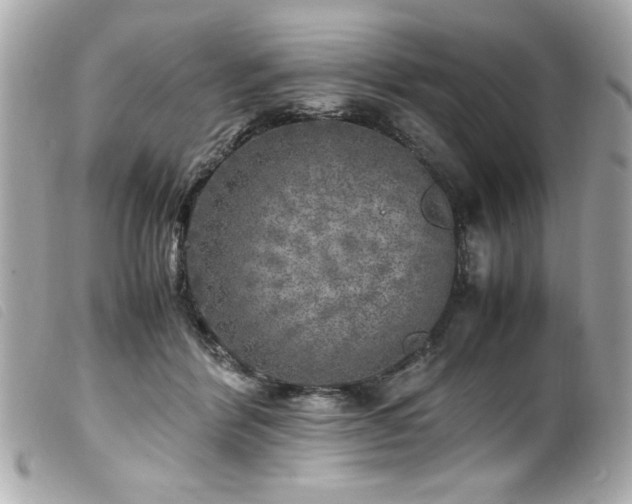 X0000100230412200805301416