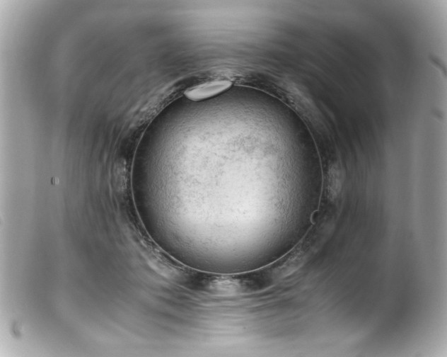 X0000100230413200805301416