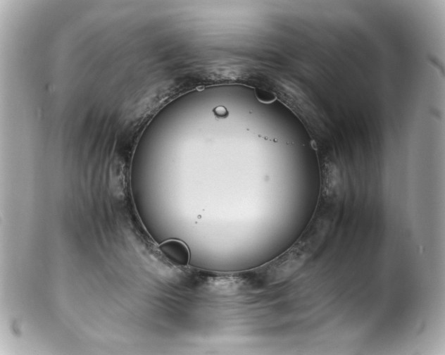 X0000100230414200805301416