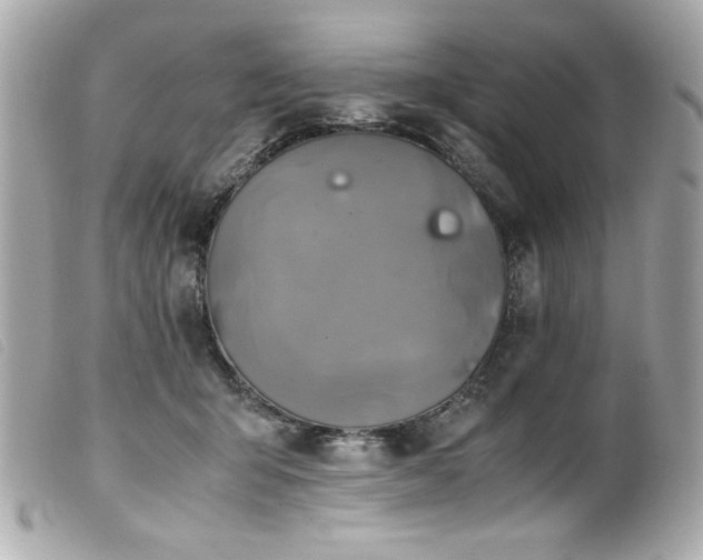 X0000100230415200805301416