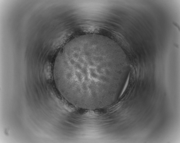 X0000100230416200805301416
