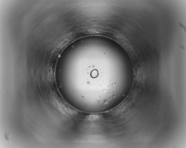 X0000100230418200805301416