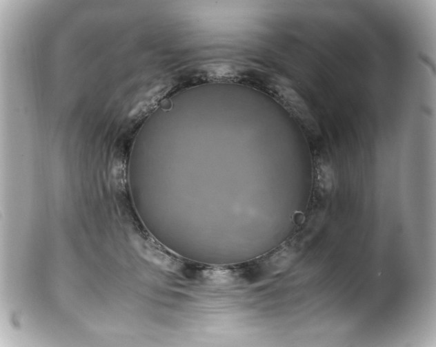 X0000100230419200805301416