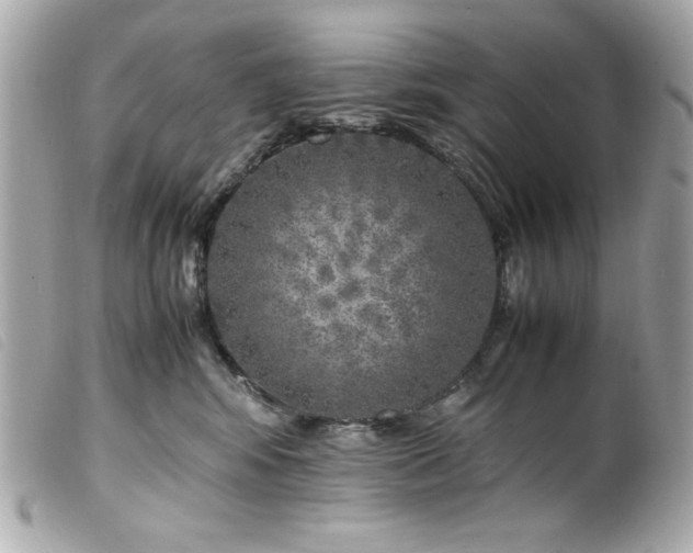 X0000100230424200805301416
