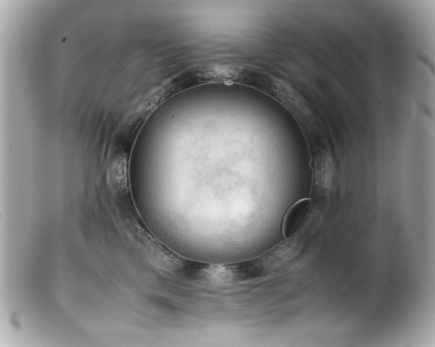 X0000100230425200805301416