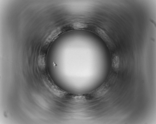 X0000100230426200805301416