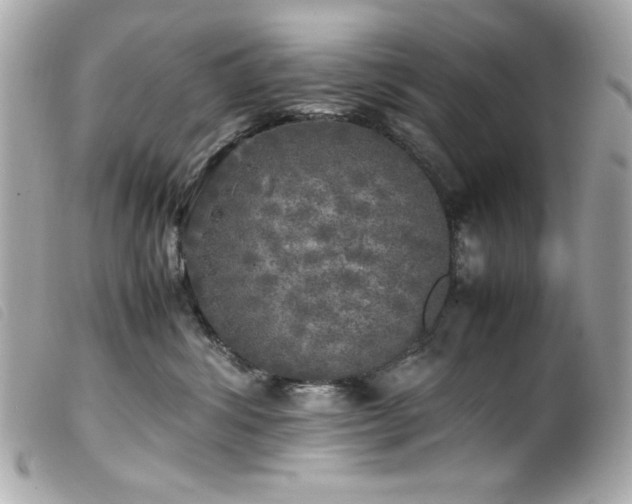 X0000100230428200805301416