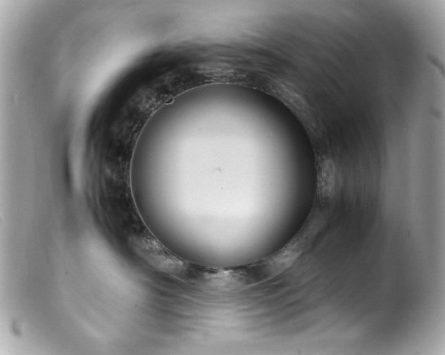X0000100230430200805301416