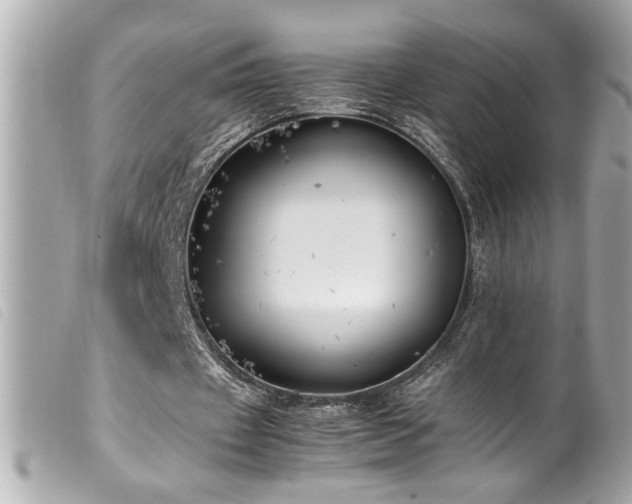 X0000100230433200805301416