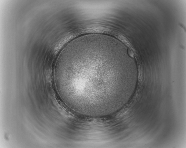 X0000100230434200805301416
