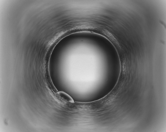 X0000100230436200805301416