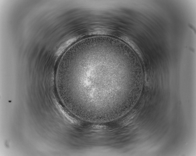 X0000100230437200805301416