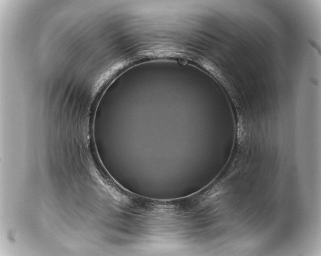 X0000100230438200805301416