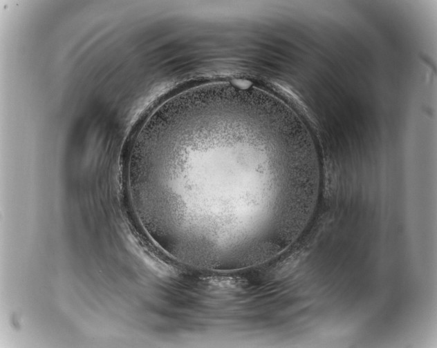 X0000100230439200805301416