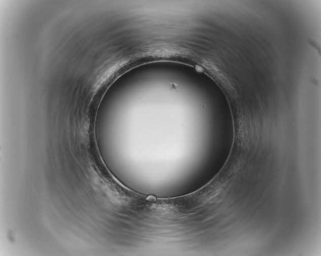 X0000100230440200805301416