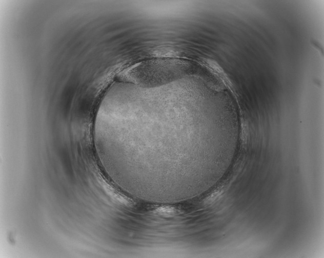 X0000100230441200805301416