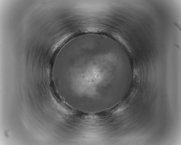 X0000100230444200805301416