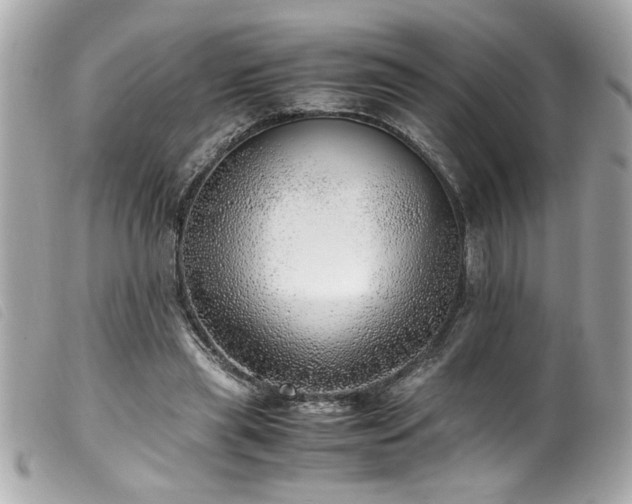 X0000100230445200805301416