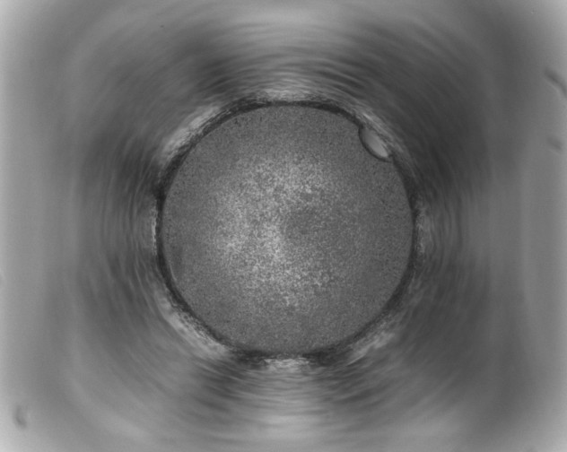 X0000100230446200805301416