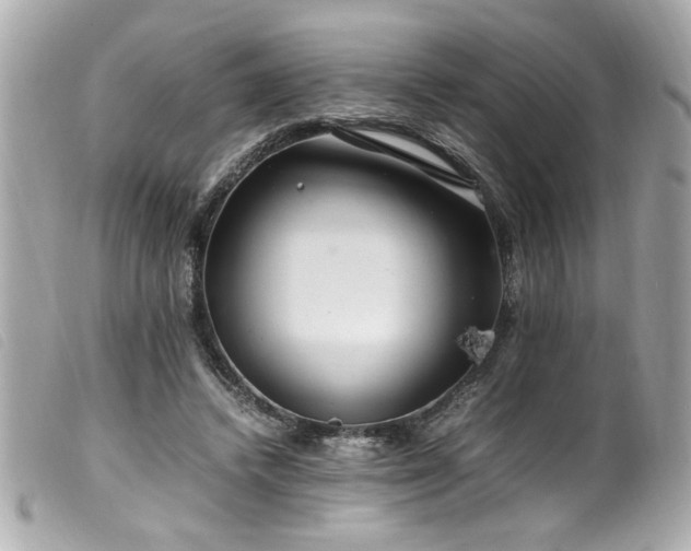 X0000100230448200805301416