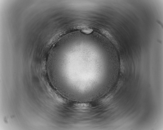 X0000100230449200805301416