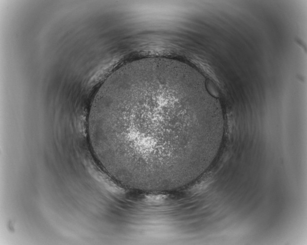 X0000100230450200805301416