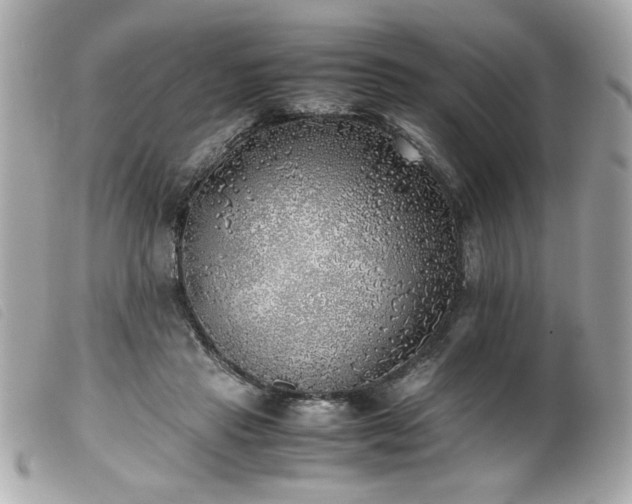 X0000100230453200805301416
