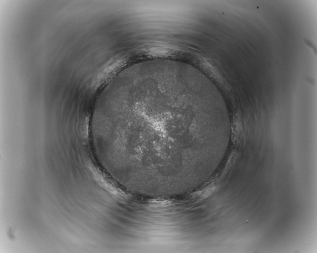 X0000100230454200805301416